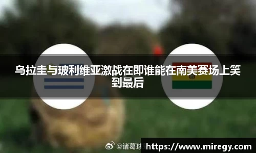 DB真人官方网站